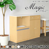 magic R60/C60/T120/D60H100