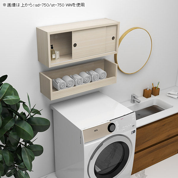 ウォールシェルフ 長方形 引き戸｜WallBox7-SD B-750 nail