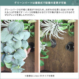 光触媒 人工観葉植物 | Botanical slc.class 09