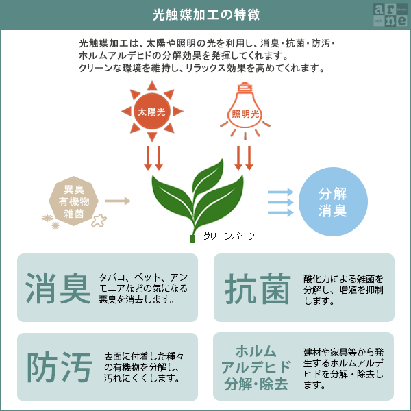 光触媒 人工観葉植物｜Botanical slc.class 09｜0000a13547 - オーダー