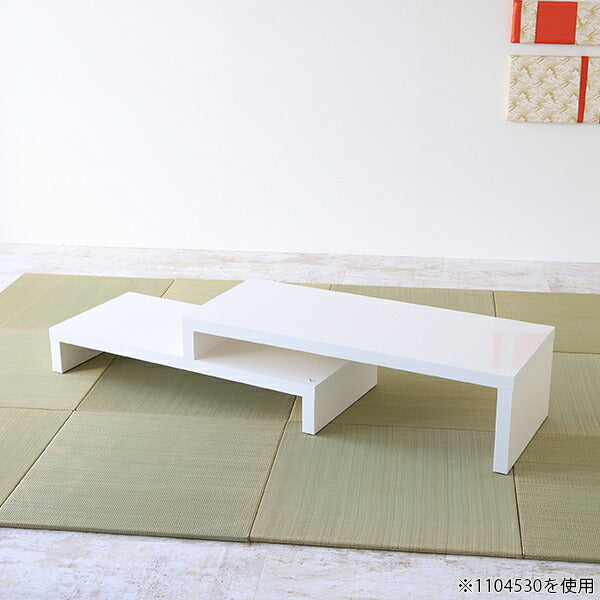 ZERO IP 1204030 nail