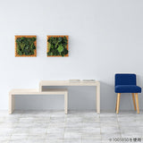 ZERO IP 956030 whitewood